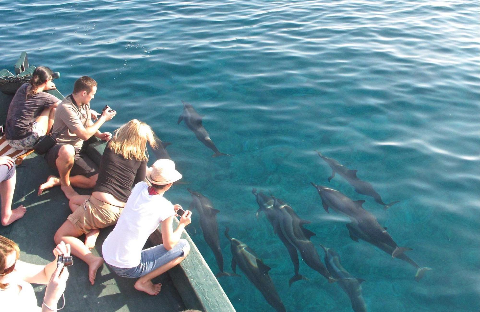 Blue Wave Guest House Maldives Kudahuvadhoo Extérieur photo
